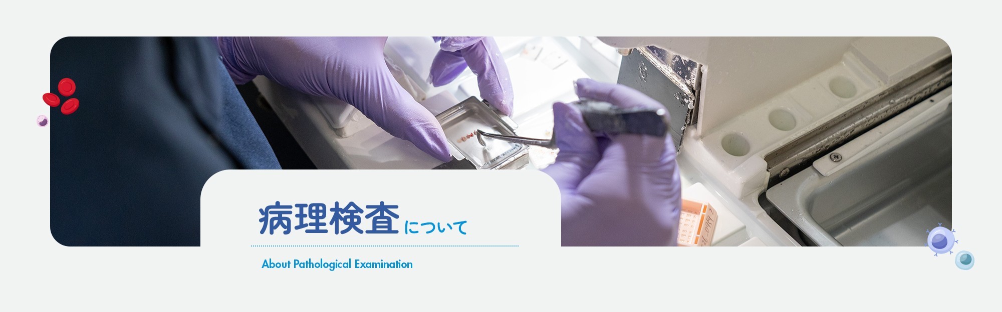 病理検査について