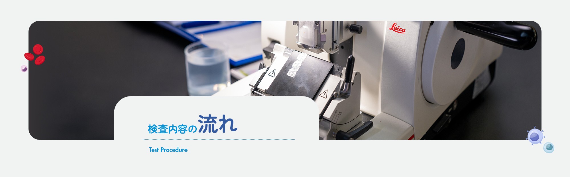 検査内容の流れ
