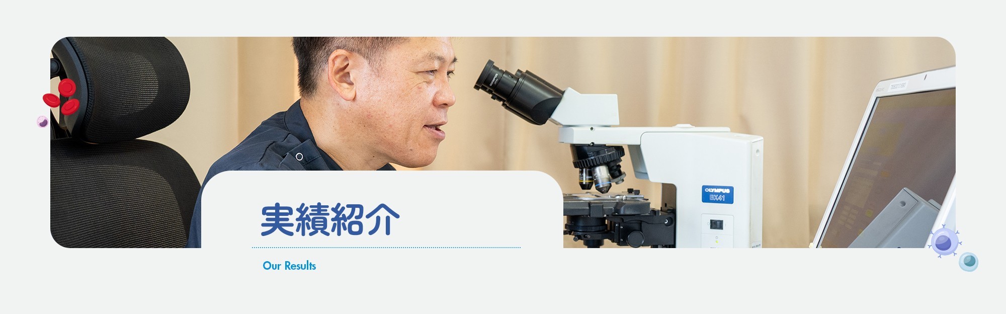 実績紹介