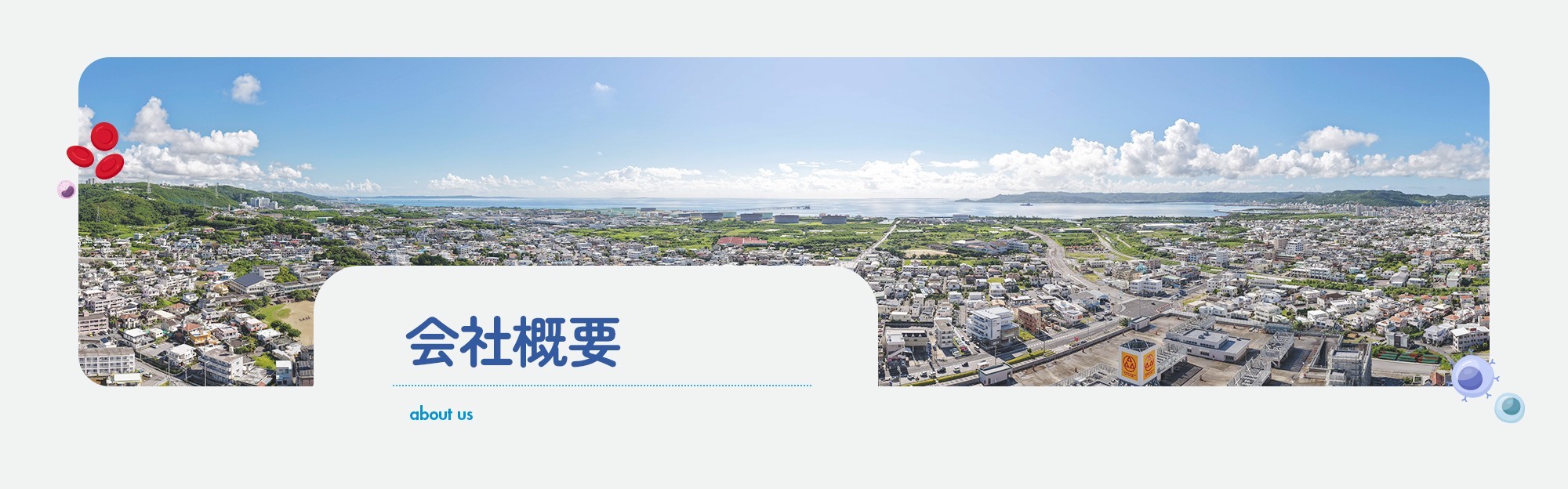 会社概要