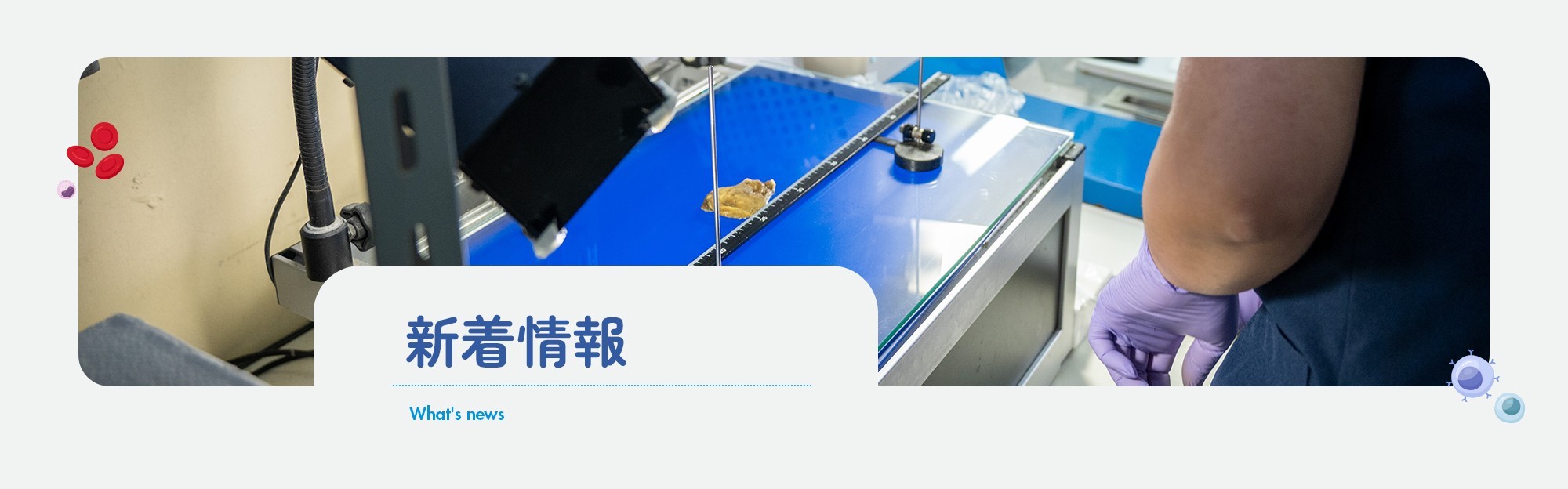 新着情報